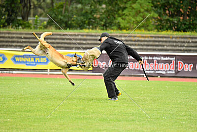 Baxel vom Haus Edental