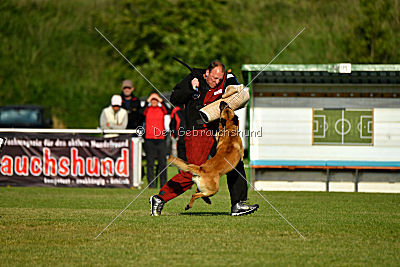 Baxx vom roten Drachen