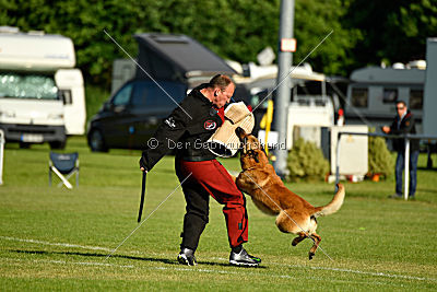 Baxx vom roten Drachen