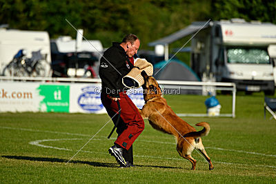 Baxx vom roten Drachen