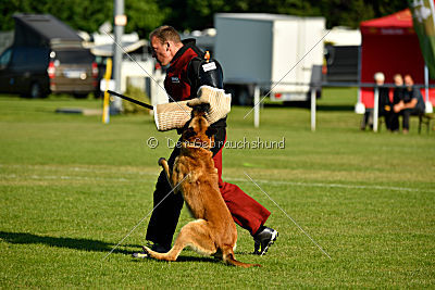 Baxx vom roten Drachen