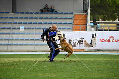 Baxx vom roten Drachen