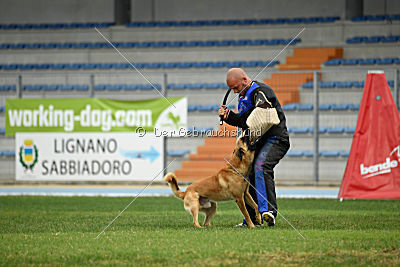 Baxx vom roten Drachen