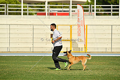 Baxx vom roten Drachen