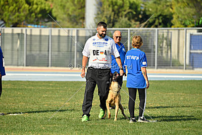 Baxx vom roten Drachen