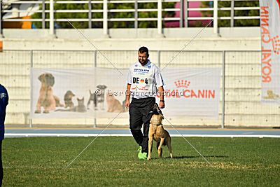 Baxx vom roten Drachen