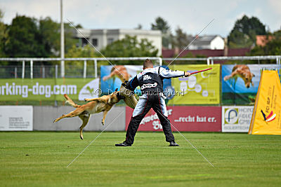 Baxx vom roten Drachen