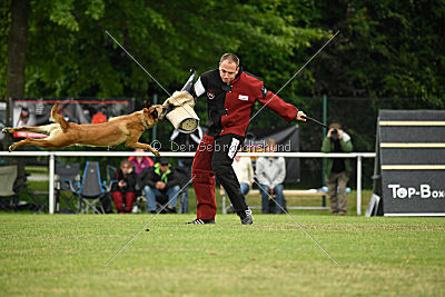 Baya vom Clan der Wölfe