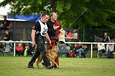 Baya vom Clan der Wölfe