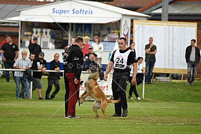 Baya vom Clan der Wölfe