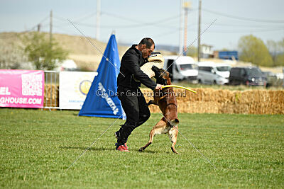 Be Eddy de Fontemordant
