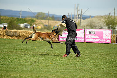 Be Eddy de Fontemordant