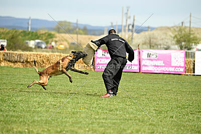 Be Eddy de Fontemordant