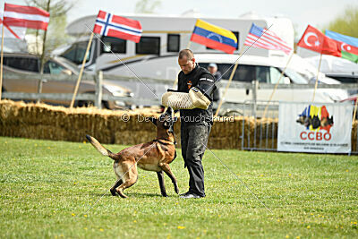 Be Eddy de Fontemordant