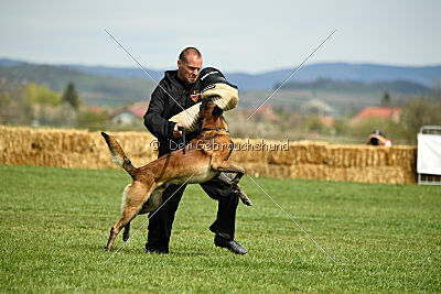 Be Eddy de Fontemordant