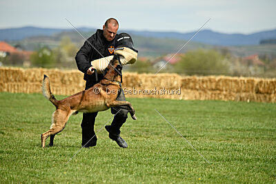 Be Eddy de Fontemordant