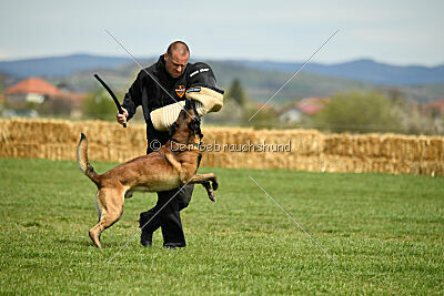 Be Eddy de Fontemordant