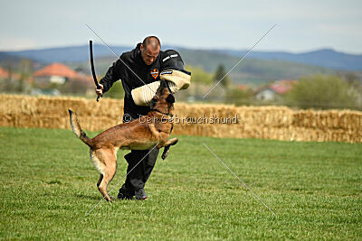 Be Eddy de Fontemordant