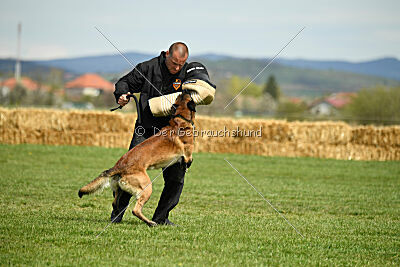 Be Eddy de Fontemordant