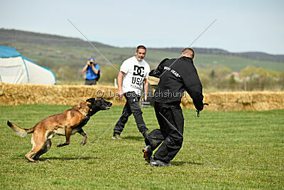 Be Eddy de Fontemordant