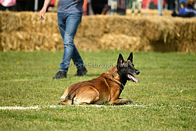 Be Eddy de Fontemordant