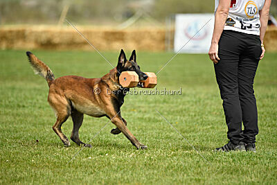 Be Eddy de Fontemordant