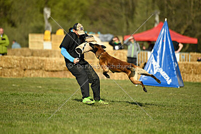 Be Eddy de Fontemordant