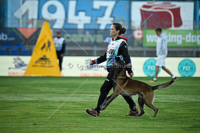 Be Eddy de Fontemordant