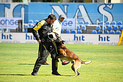 Be Eddy de Fontemordant