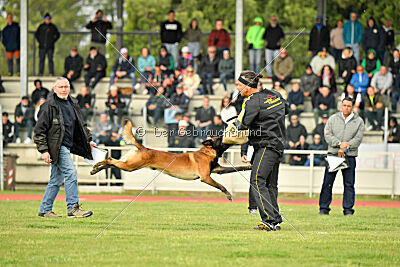Be Eddy de Fontemordant