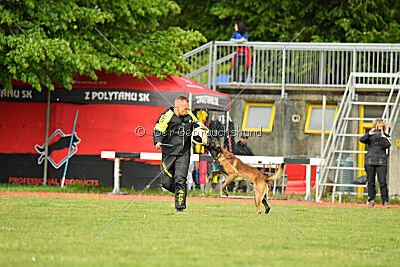 Be Eddy de Fontemordant