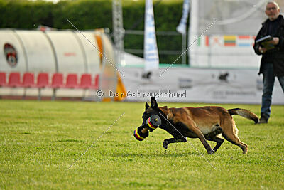 Be Eddy de Fontemordant