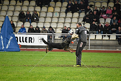 Bea vom Great Digger