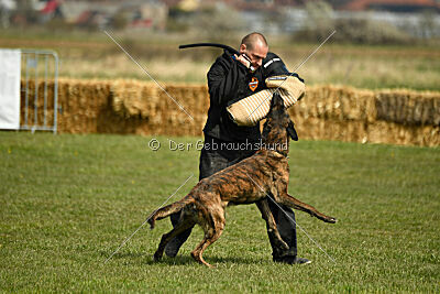 Bear Drive Unlimited