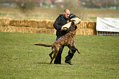 Bear Drive Unlimited