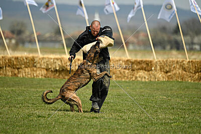 Bear Drive Unlimited