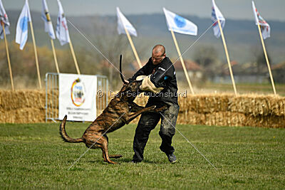 Bear Drive Unlimited