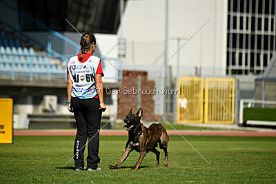 Bear Drive Unlimited