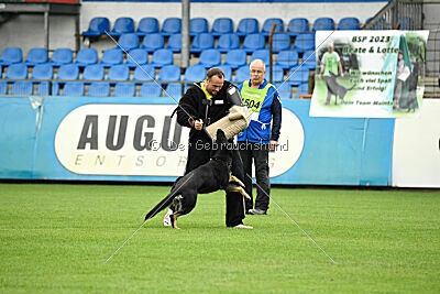Becky on silent wings