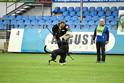 Becky on silent wings