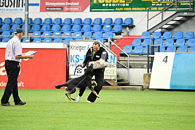 Becky on silent wings