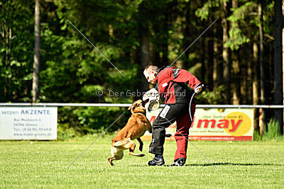 Beetlejuice on silent wings