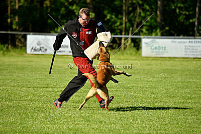 Beetlejuice on silent wings