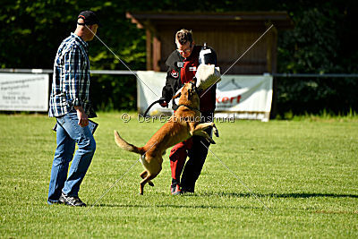 Beetlejuice on silent wings