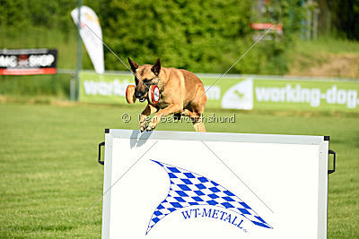 Beetlejuice on silent wings