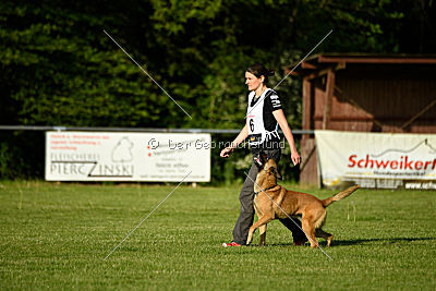 Beetlejuice on silent wings
