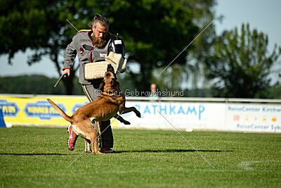 Benga vom Buxtehuder Bullen
