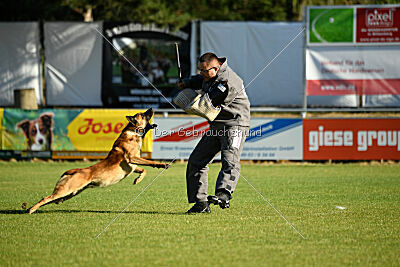 Berec vom Haus Edental