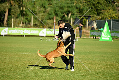 Berec vom Haus Edental