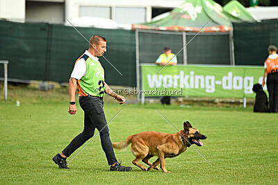 Berec vom Haus Edental